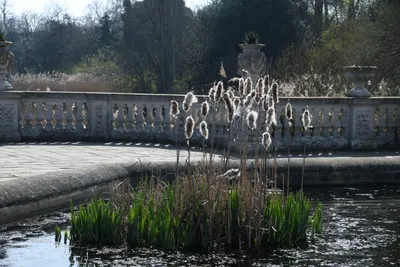 DSC_6879 (Large).JPG